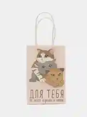 Пакет подарочный крафтовый, упаковка, Подарок для тебя, 15 х 10 х 6 см