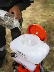Опрыскиватель, садовый, бензиновый 3WF-2.6A 14L (2,5 л.с., 14 литров, BOOST-помпа, 3 в 1)