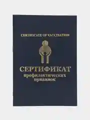 Индиго сертификат о профилактических прививках, 24 страницы, А6