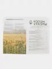 Татарский литературный журнал. Казан утлары №9. Журнал на татарском языке. ТАТМЕДИА