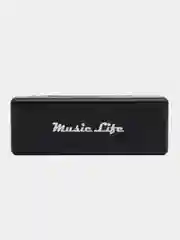 Губная гармошка Music Life, диатоническая, C-major, с футляром, серебристая