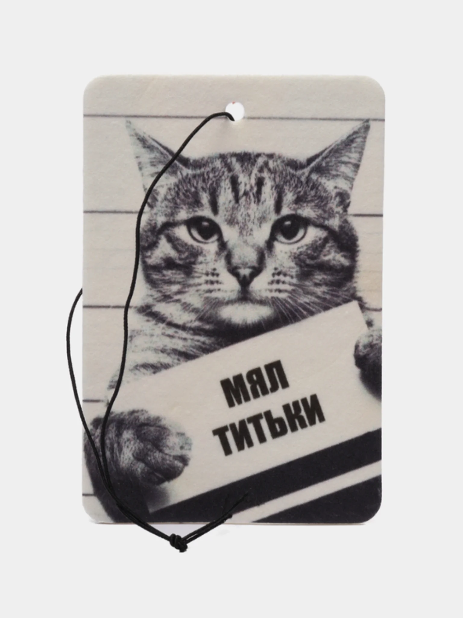 Песочный хаки ароматизатор воздуха для авто картонный. Вонючка в машину. Хасбик. Мияги