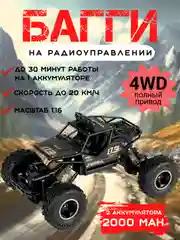 Черный машинка на радиоуправлении полный привод 2 аккумулятора, багги на пульте управления