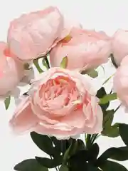 Пудровый цветы искусственные букеты для декора пионы, розы