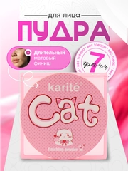 Пудра для лица матирующая, фиксирующая, увлажняющая, водостойкая, компактная, прозрачная