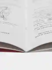Рабочая домашняя логопедическая тетрадь: Учим звуки сш, зж, сч, чц, щс. Для  детей 5-7 лет