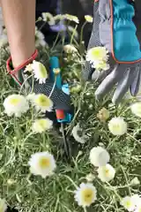 Серый садовые перчатки Gardena размер 8 00203-32.000.00