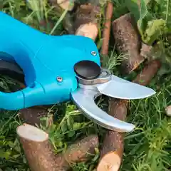 Голубой аккумуляторный секатор садовый Pruner PR-3068