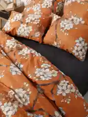 Комплект постельного белья Ночь Нежна ROYAL Арабелла Поплин 1.5 сп. 70х70