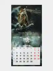 Календарь настенный на 2025 год перекидной, Brauberg, 12 листов, 22,5х22,5см, Мини