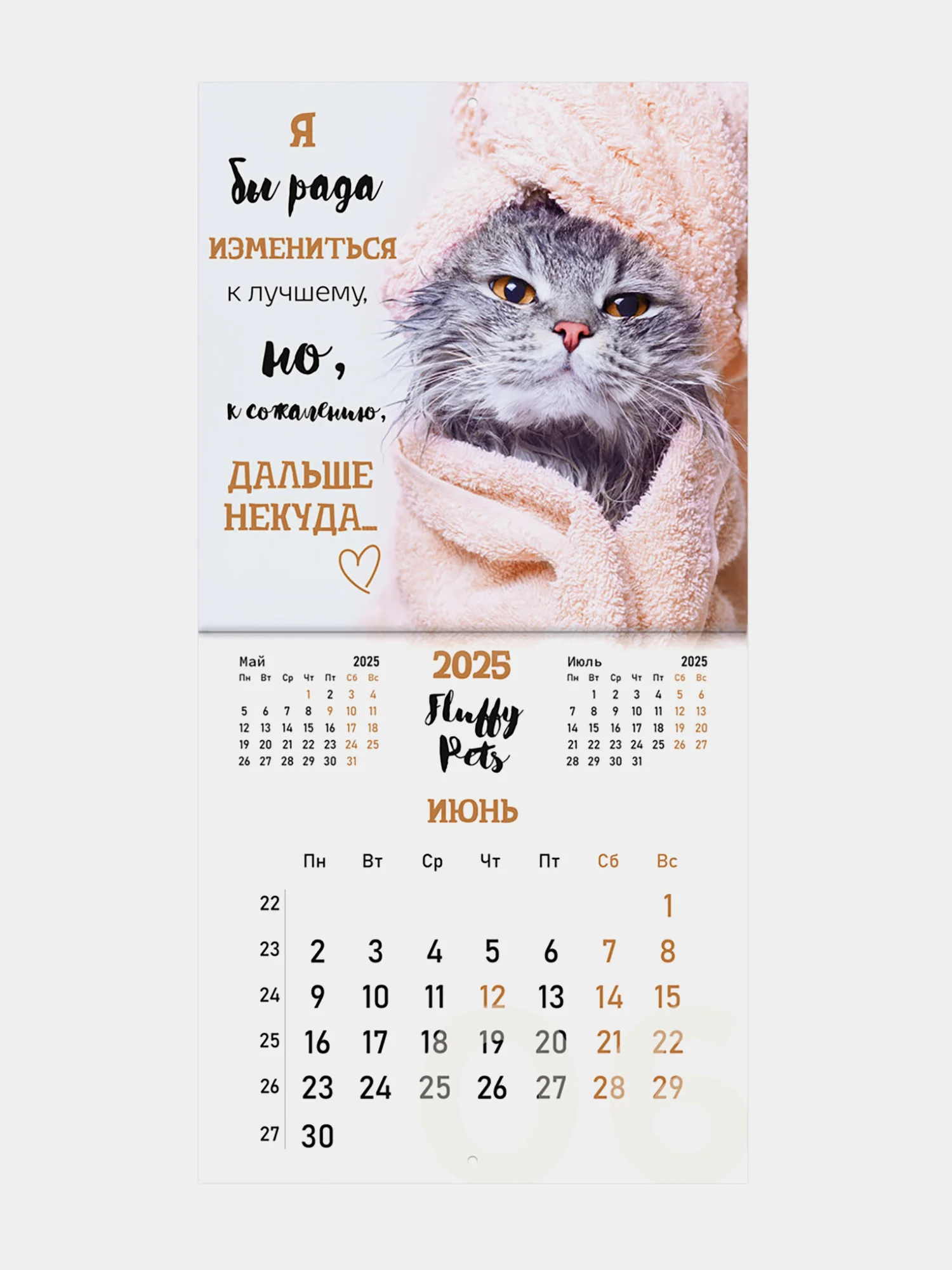 Календарь настенный на 2025 год перекидной, Brauberg, 12 листов, 29х29см, Смешные котики