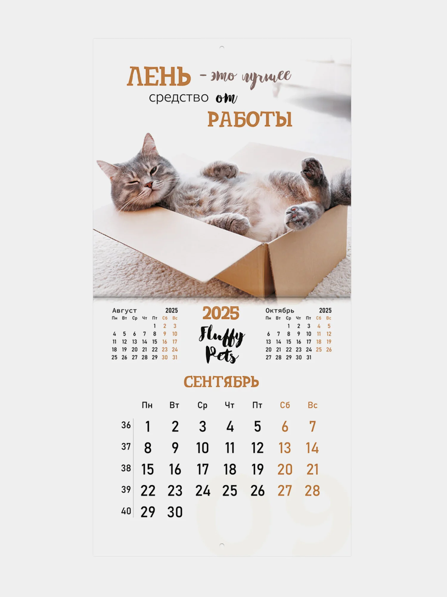 Календарь настенный на 2025 год перекидной, Brauberg, 12 листов, 29х29см, Смешные котики