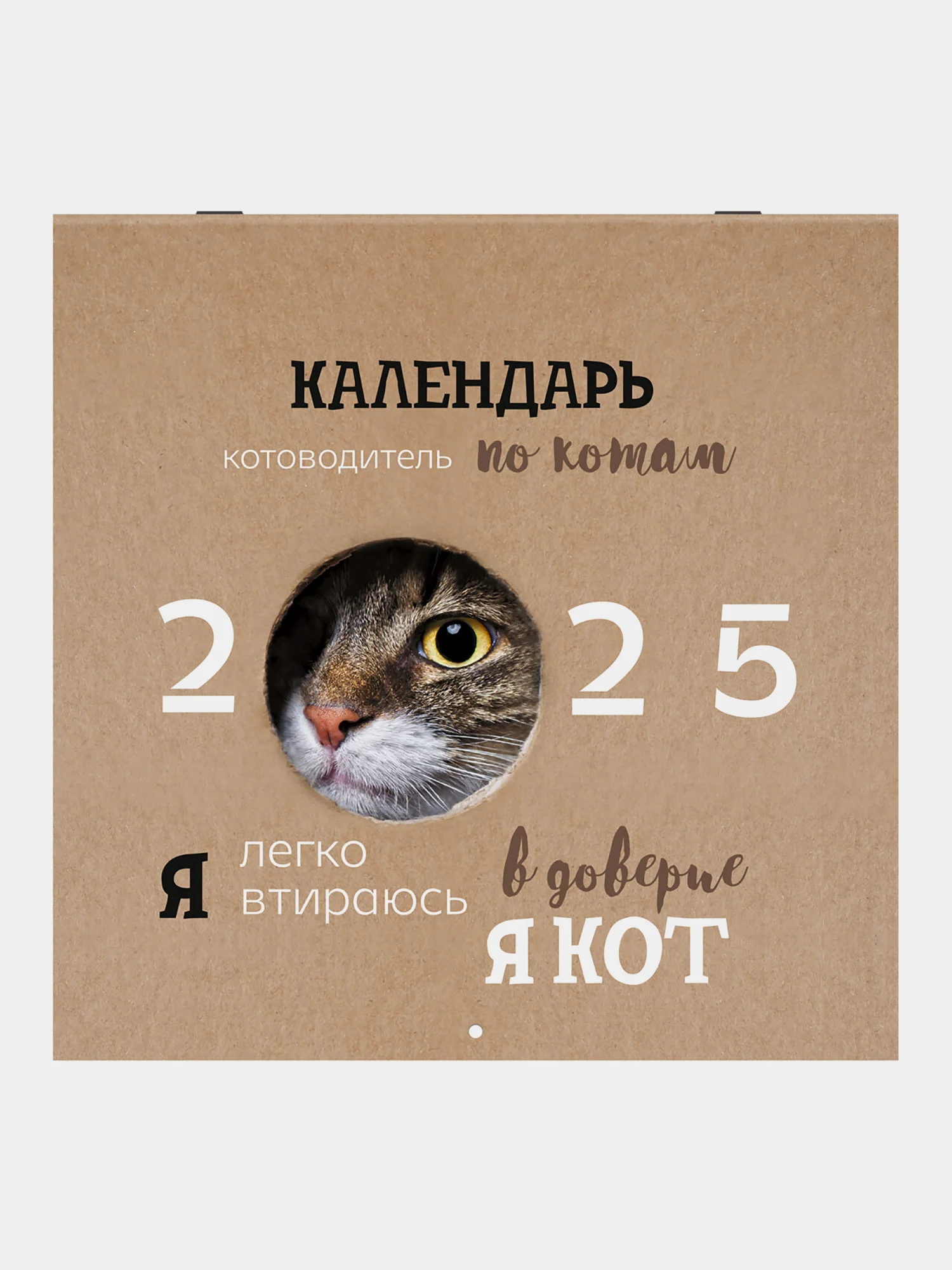 Календарь настенный на 2025 год перекидной, Brauberg, 12 листов, 29х29см, Смешные котики