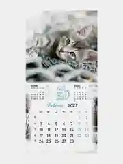Календарь настенный на 2025 год перекидной, Brauberg, 12 листов, 29х29см, Милые котики