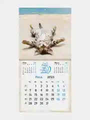 Календарь настенный на 2025 год перекидной, Brauberg, 12 листов, 29х29см, Милые котики