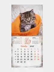 Календарь настенный на 2025 год перекидной, Brauberg, 12 листов, 29х29см, Милые котики