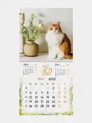 Календарь настенный на 2025 год перекидной, Brauberg, 12 листов, 29х29см, Милые котики