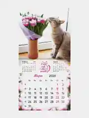 Календарь настенный на 2025 год перекидной, Brauberg, 12 листов, 29х29см, Милые котики