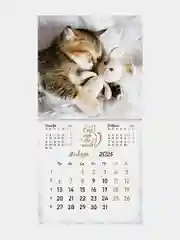 Календарь настенный на 2025 год перекидной, Brauberg, 12 листов, 29х29см, Милые котики