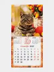 Календарь настенный на 2025 год перекидной, Brauberg, 12 листов, 29х29см, Милые котики