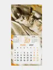 Календарь настенный на 2025 год перекидной, Brauberg, 12 листов, 29х29см, Милые котики