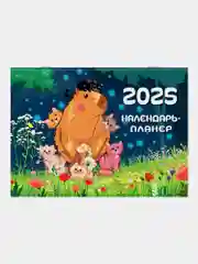 Календарь настенный на 2025 год планер перекидной, 12 листов, 30х22см, Brauberg