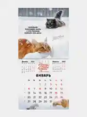 Календарь настенный на 2025 год перекидной, Brauberg, 12 листов, 29х29см, Не падай духом