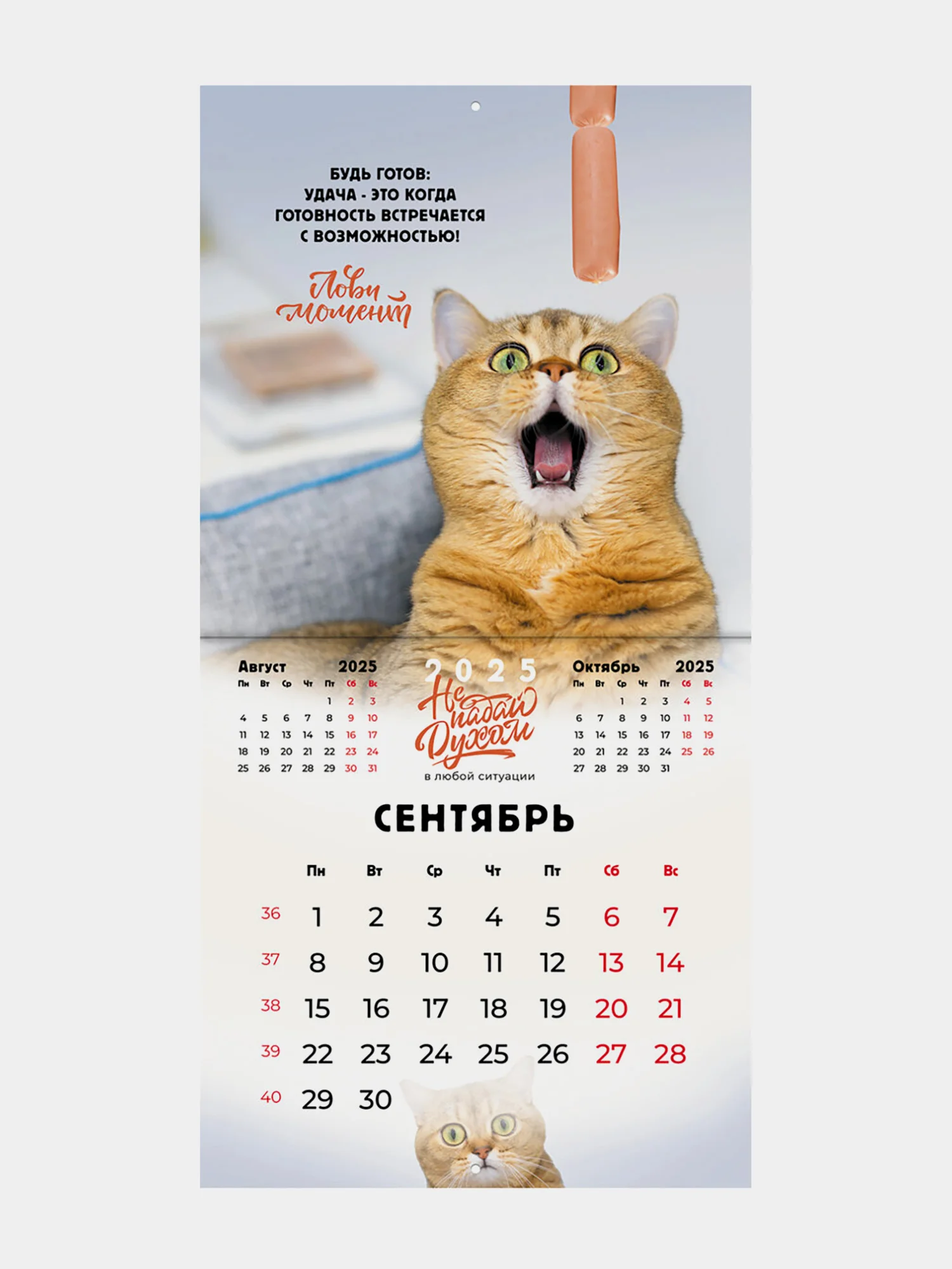 Календарь настенный на 2025 год перекидной, Brauberg, 12 листов, 29х29см, Не падай духом
