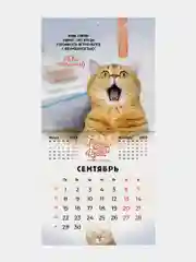 Календарь настенный на 2025 год перекидной, Brauberg, 12 листов, 29х29см, Не падай духом