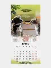 Календарь настенный на 2025 год перекидной, Brauberg, 12 листов, 29х29см, Не падай духом