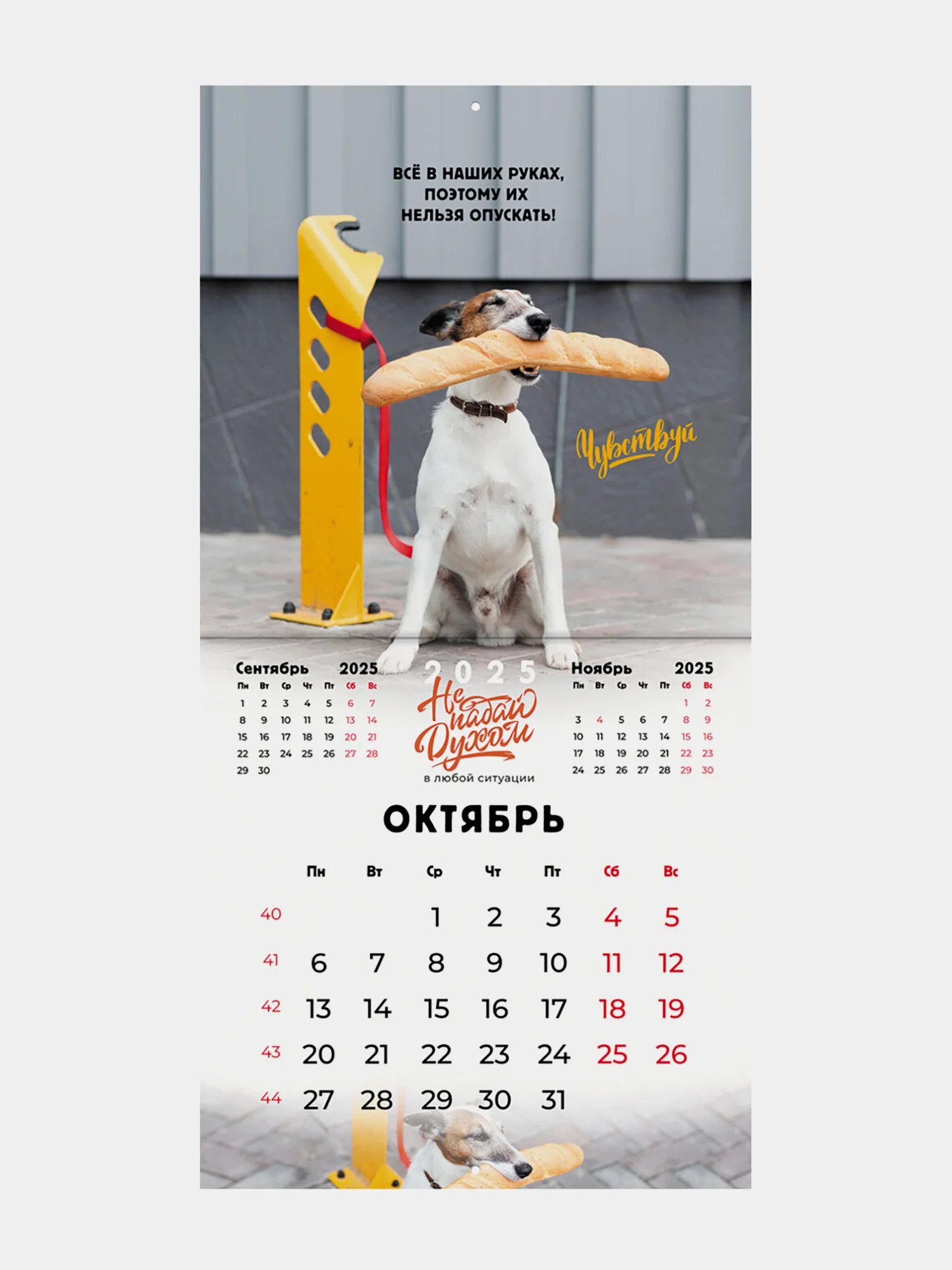 Календарь настенный на 2025 год перекидной, Brauberg, 12 листов, 29х29см, Не падай духом