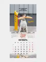 Календарь настенный на 2025 год перекидной, Brauberg, 12 листов, 29х29см, Не падай духом