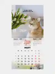 Календарь настенный на 2025 год перекидной, Brauberg, 12 листов, 29х29см, Не падай духом