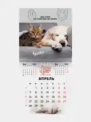 Календарь настенный на 2025 год перекидной, Brauberg, 12 листов, 29х29см, Не падай духом