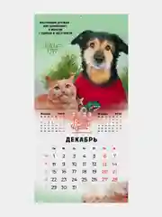 Календарь настенный на 2025 год перекидной, Brauberg, 12 листов, 29х29см, Не падай духом