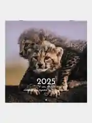 Календарь настенный на 2025 год перекидной, Brauberg, 12 листов, 29х29см, Детёныши