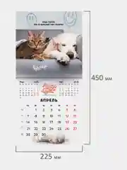 Календарь настенный на 2025 год перекидной, Brauberg, 12 листов, 22,5х22,5см, Мини