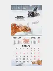Календарь настенный на 2025 год перекидной, Brauberg, 12 листов, 22,5х22,5см, Мини