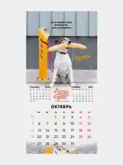 Календарь настенный на 2025 год перекидной, Brauberg, 12 листов, 22,5х22,5см, Мини