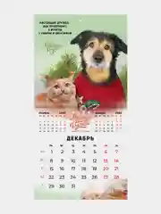 Календарь настенный на 2025 год перекидной, Brauberg, 12 листов, 22,5х22,5см, Мини