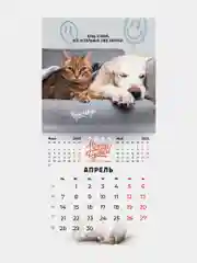 Календарь настенный на 2025 год перекидной, Brauberg, 12 листов, 22,5х22,5см, Мини