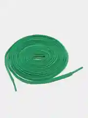 Зеленый шнурки