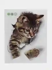 Наклейка интерьерная 3D "Кошка" на стену, 25 х 19 см, влагостойкая, ПВХ