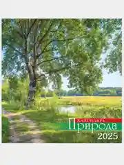 Алый перекидной настенный календарь на скрепке на 2025 год. 70 видов
