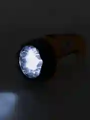 Фонарь аккумуляторный, 15LED 3W, с прямой зарядкой 220