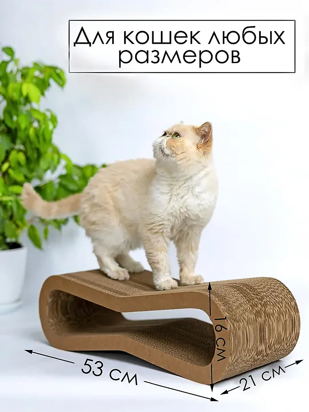 Когтеточка-лежанка картонная Зверьё Моё "Восьмерка", средняя, 53х21х16 см
