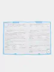Тренажер 15 минут в день. Словарные слова