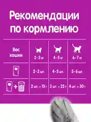 Влажный корм для кошек WHISKAS, паштет с уткой, 28 штук по 75 г