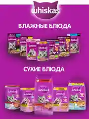 Влажный корм для кошек WHISKAS, паштет с уткой, 28 штук по 75 г