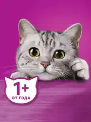 Влажный корм для кошек WHISKAS, паштет с уткой, 28 штук по 75 г